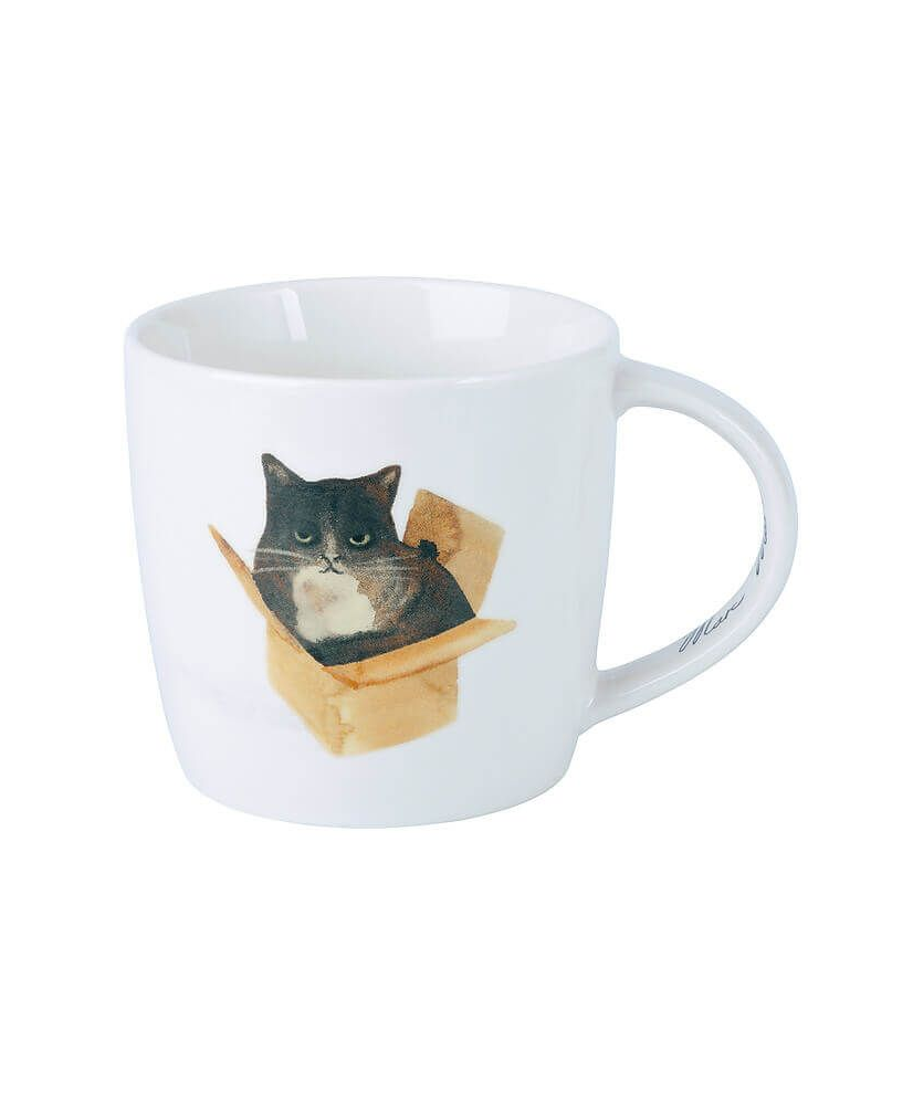 Mug Cat in a Box